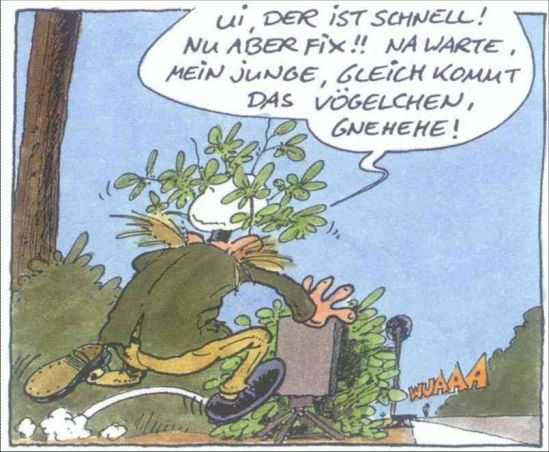 Bild6.jpg