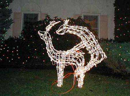 x-mas-Light-fuck.jpg