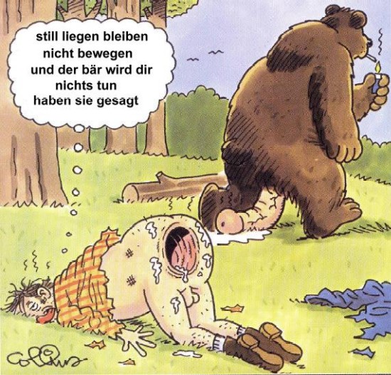 teddy.jpg